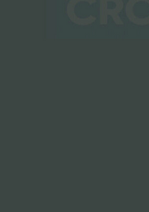 Multi-Purpose Silicone Anthracite Grey