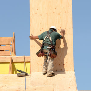 1/2" (8'x4') Sheathing Plywood