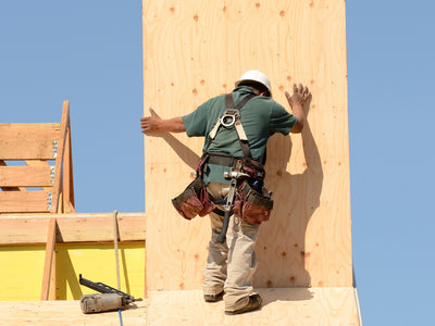 1/2" (8'x4') Sheathing Plywood
